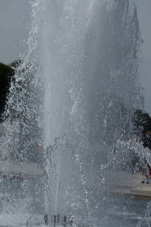 hf_29_25281