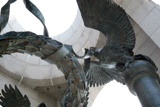 hf_29_25305